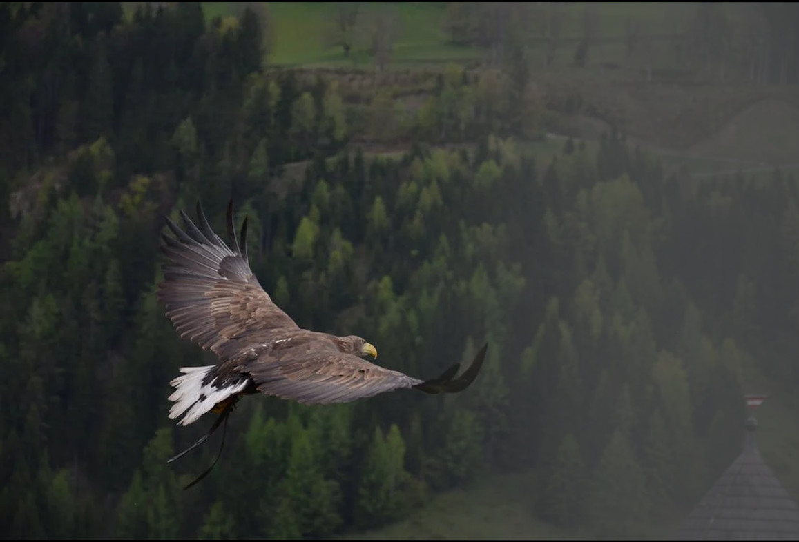 Nombre del artículo 03